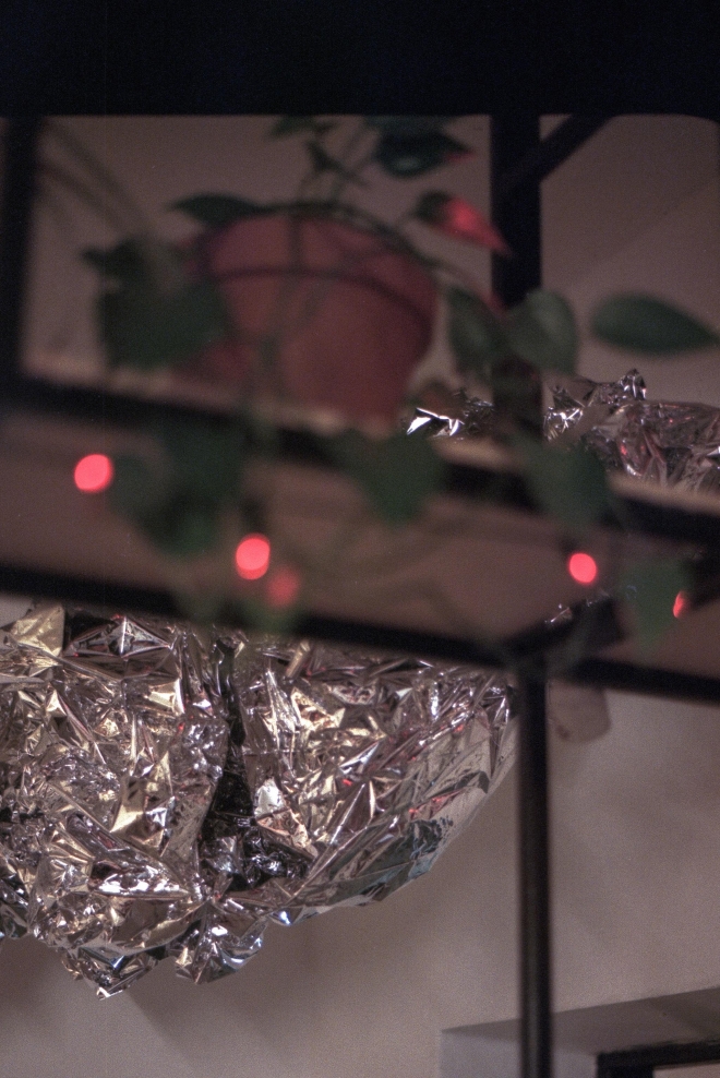 29 Border Collapse meets Shakhta, Karnola, Hranice